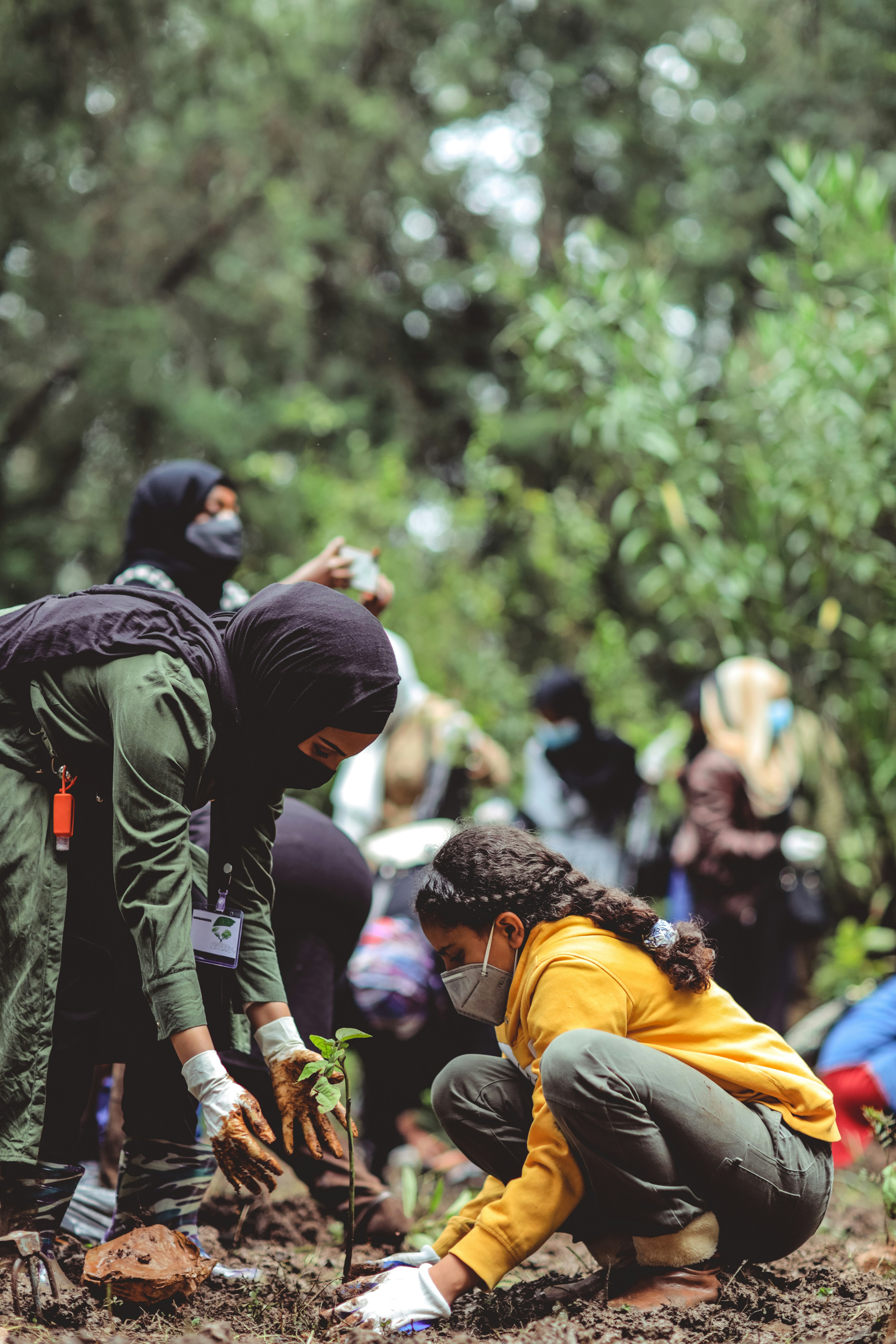 From Classroom to Community: How Children Can Lead Tree Planting Campaigns