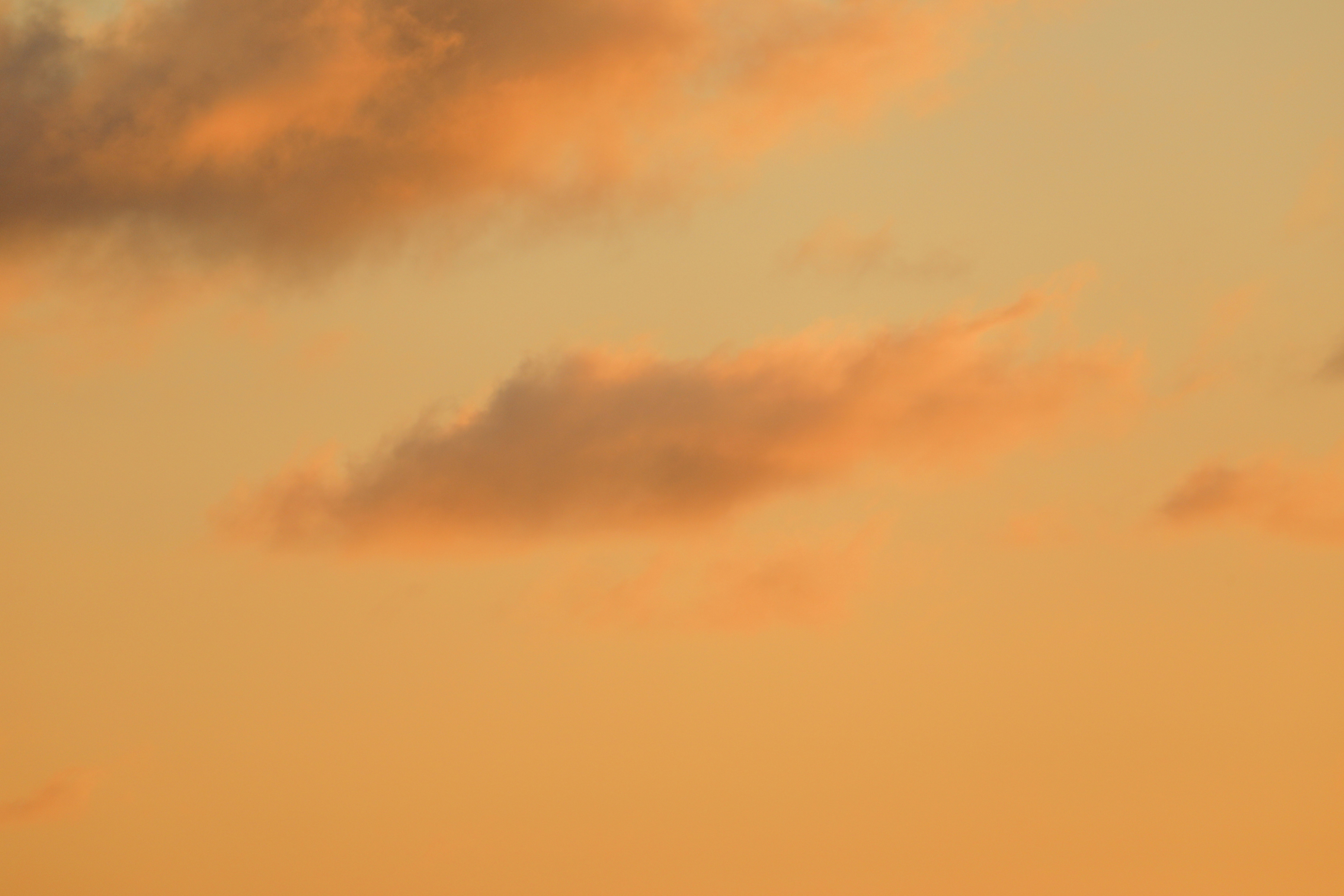 Your orange aesthetic stock images are ready. Orange Aesthetic Pictures Download Free Images On Unsplash