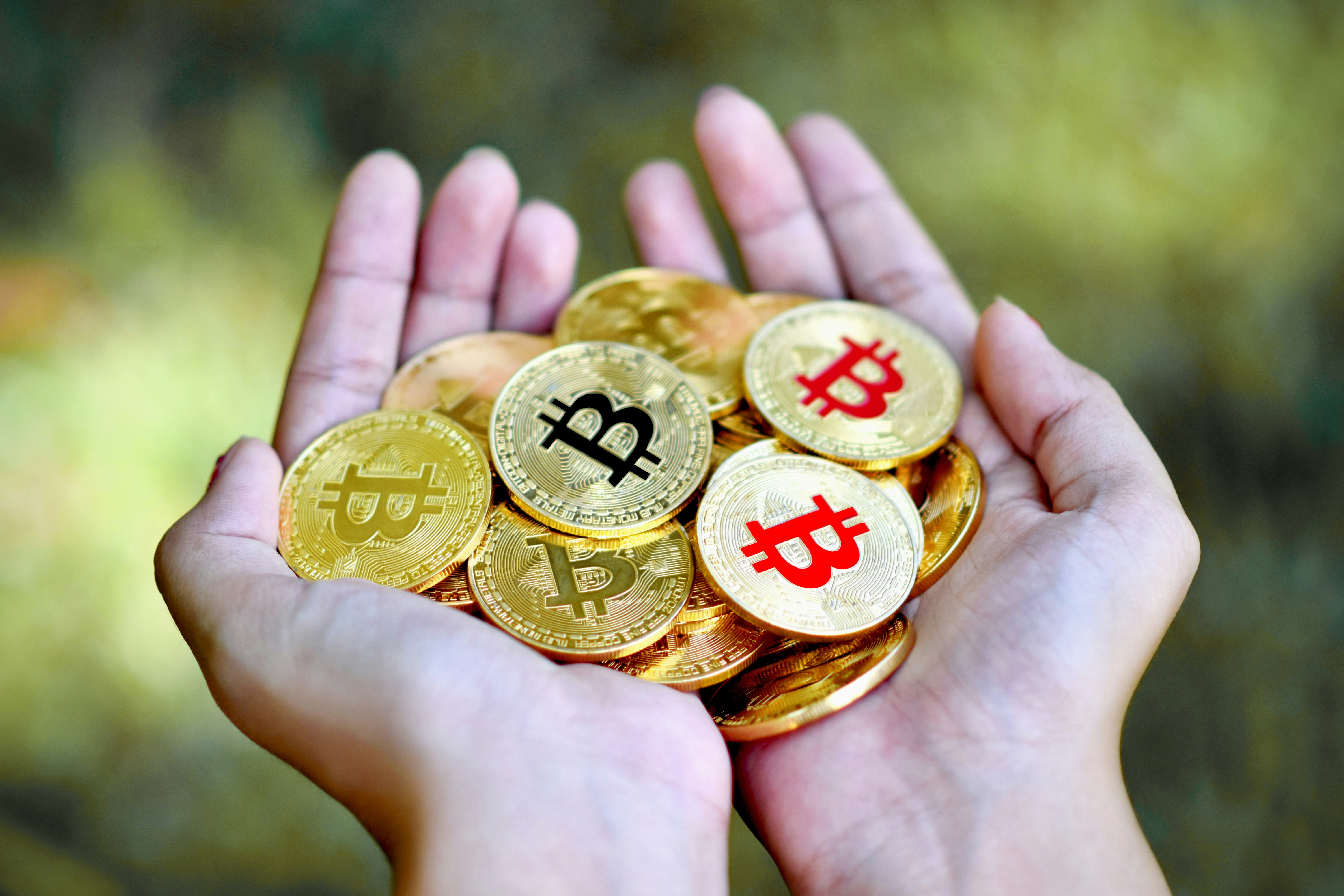 財務報表與稅務規劃：揭秘報表數據，優化稅務策略，提升企業價值