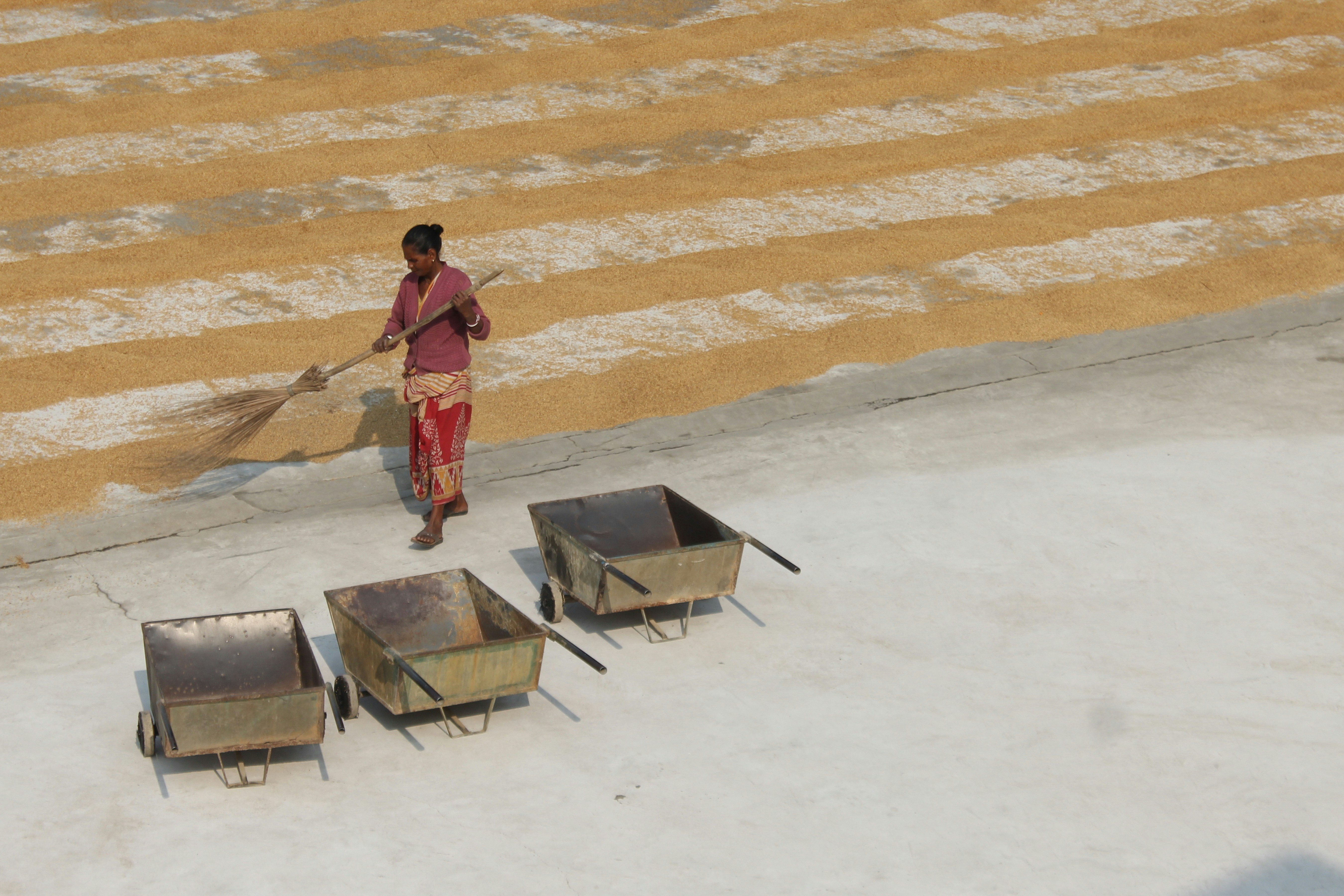 WFH崩潰？自由工作者生存指南，告別瞎忙，效率爆棚！