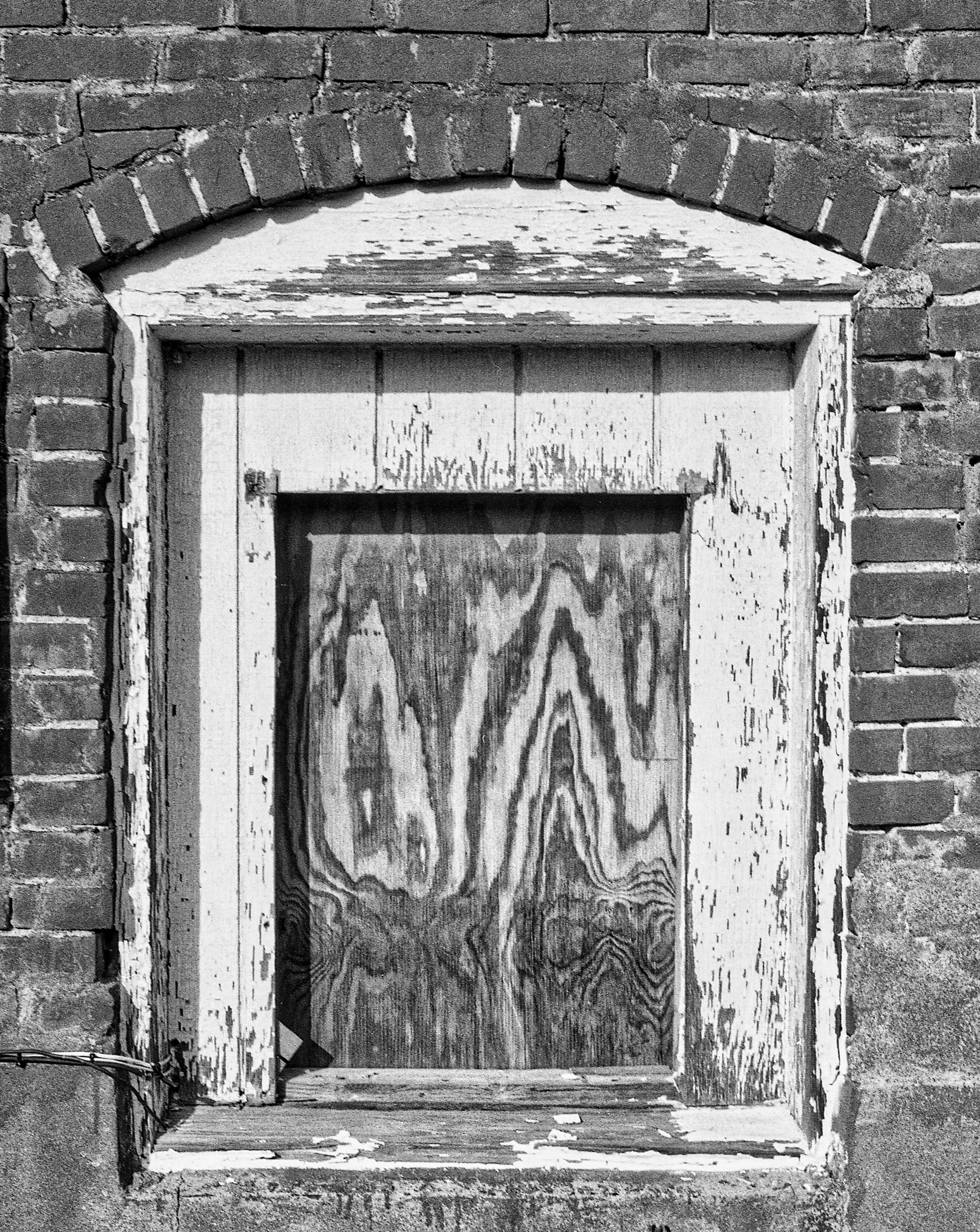 사라져가는 낙원, 야생 동물 보호 서식지를 지켜야 할 단 하나의 이유