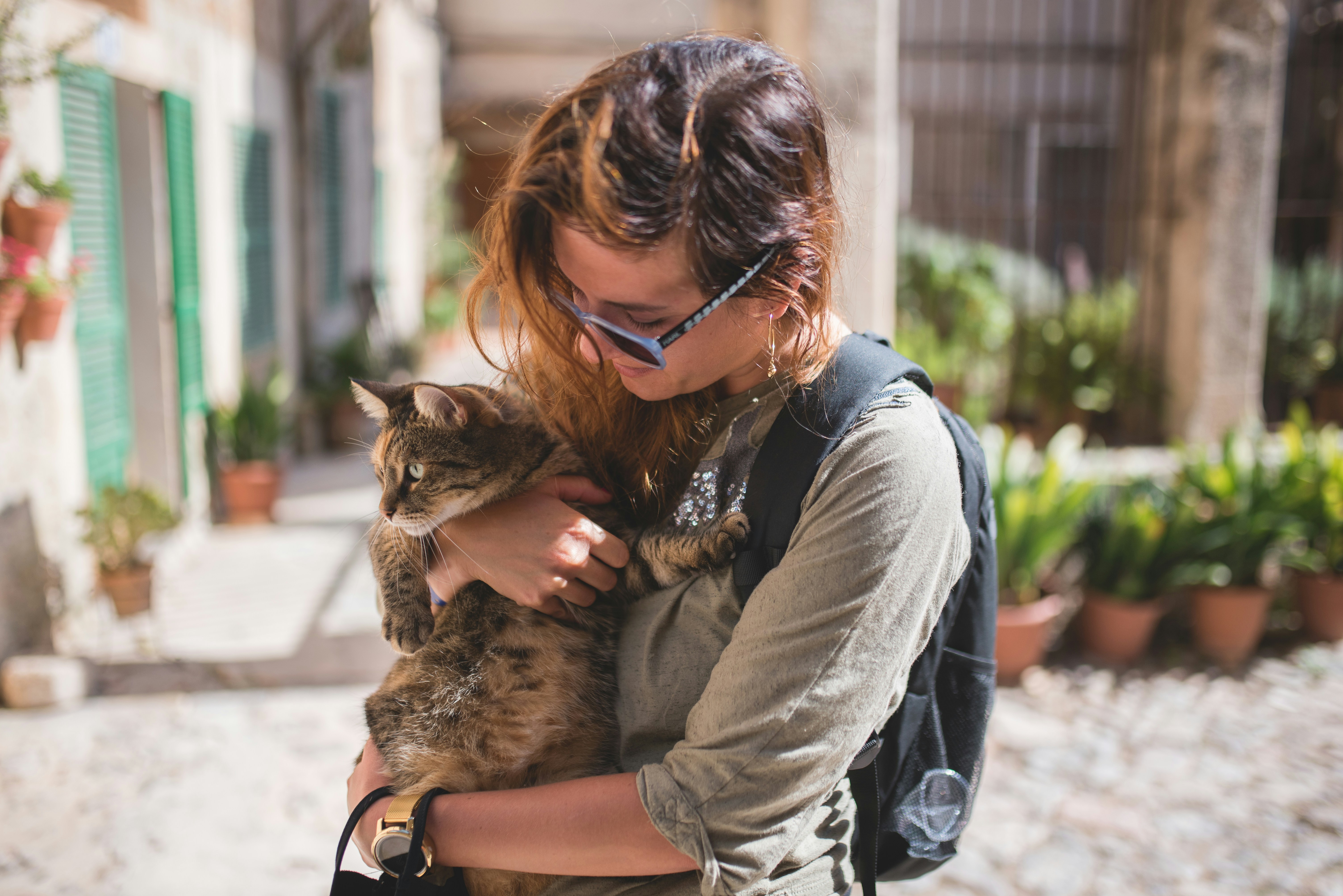 8 Extra Fees to Expect During International Pet Relocation