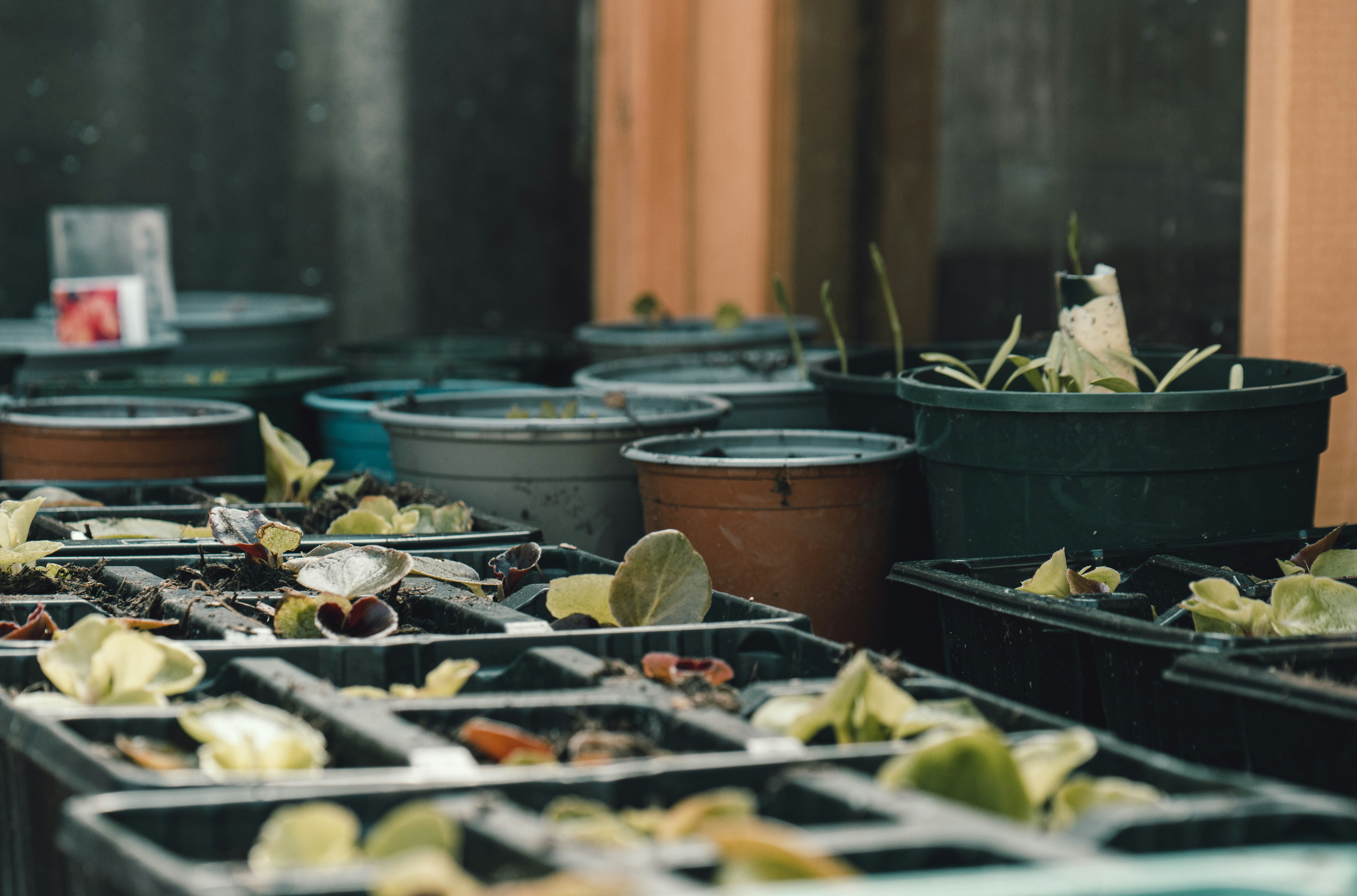 Using Automated Kitchen Composters (Waste to Soil)