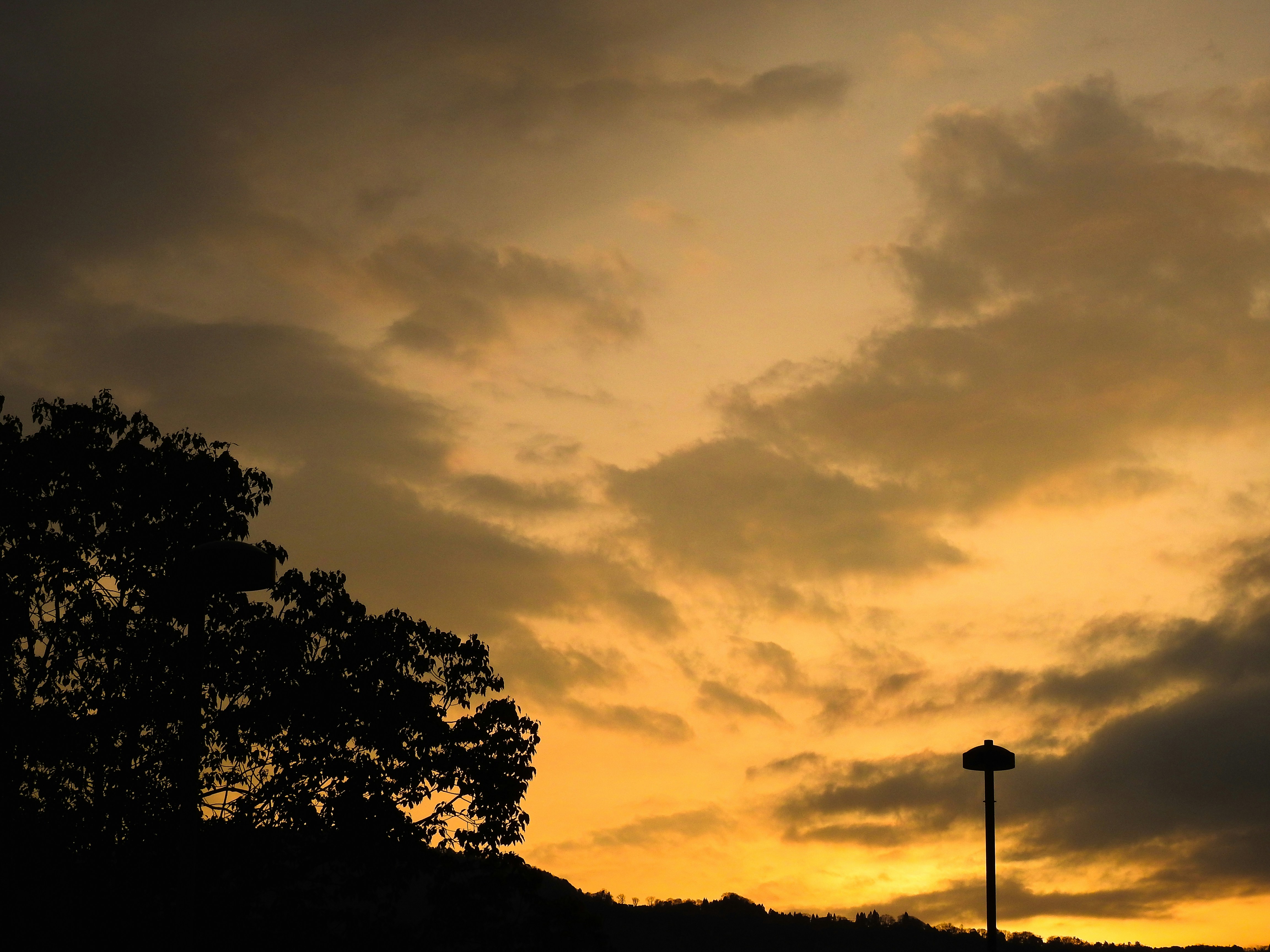 *   室內設計不踩雷！這幾點沒注意，裝潢完絕對後悔！