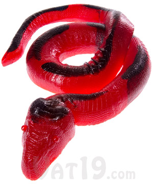The 26 Pound Edible Gummy Python 36 720 Delicious Calories Approximately 2 - 4 inches long Each Worm Approx.