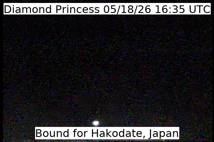 Webcam Diamond Princess Bridge Cam