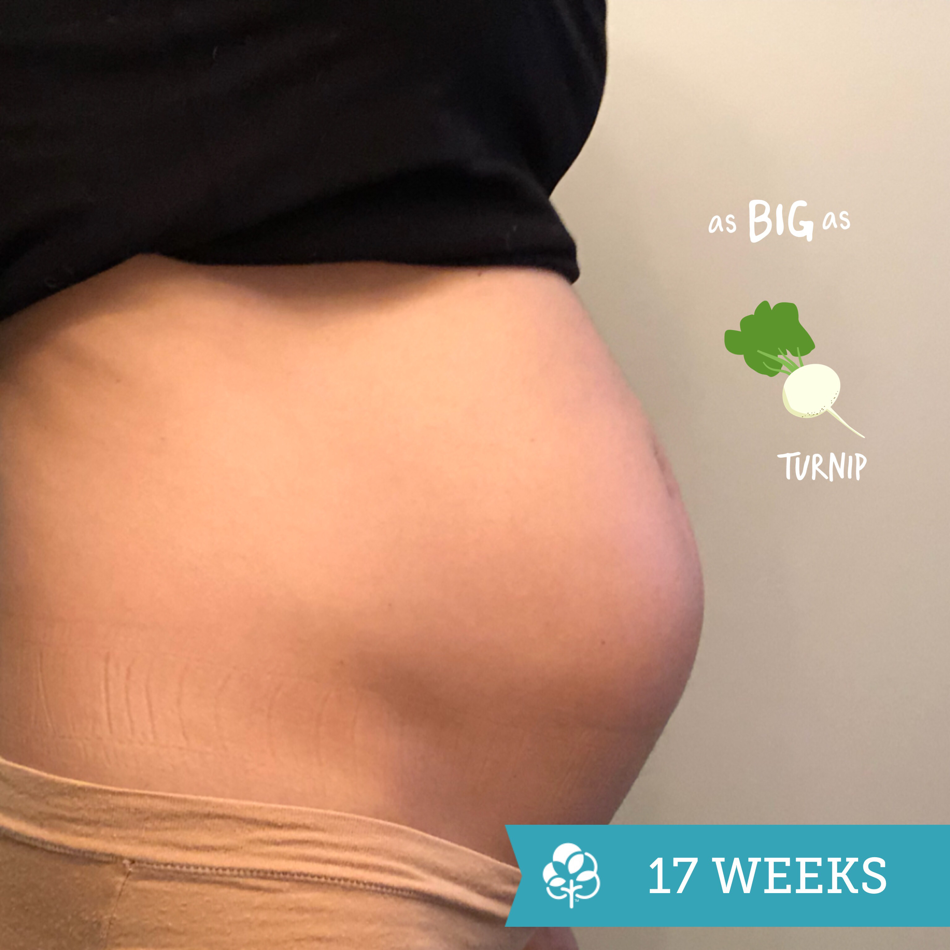 Eating too much so, you’ve switched over from an unhealthy to a healthy diet. Only Gained 10lbs October 2019 Babies Forums What To Expect