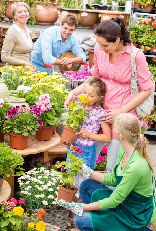 How To Be A Good Sales Associate In Retail - 5 Reasons Store Associates Are Critical To The In Store Experience - A measure of sales at ret.