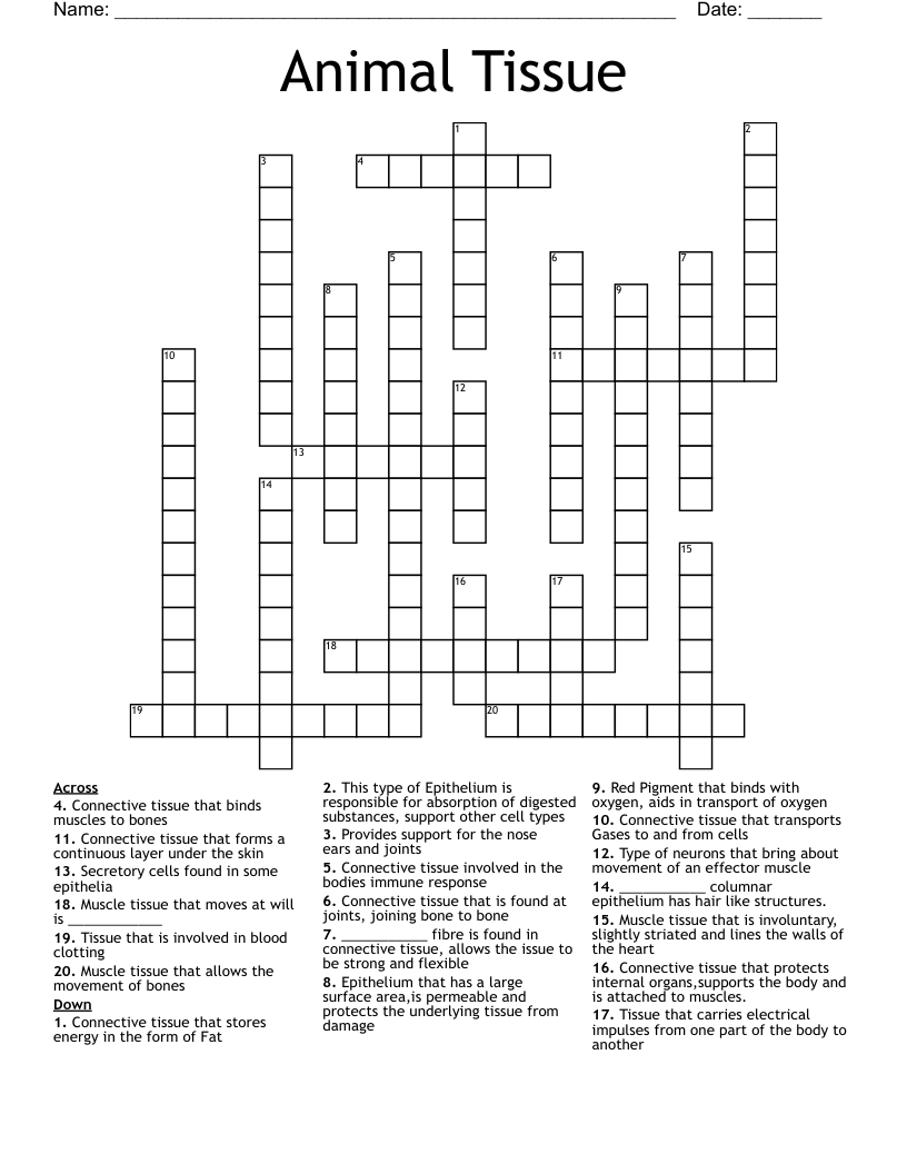 Tissue Crossword Wordmint Fibrous protein of skin say. Tissue Crossword Wordmint Fibers that are short thin and delicate.