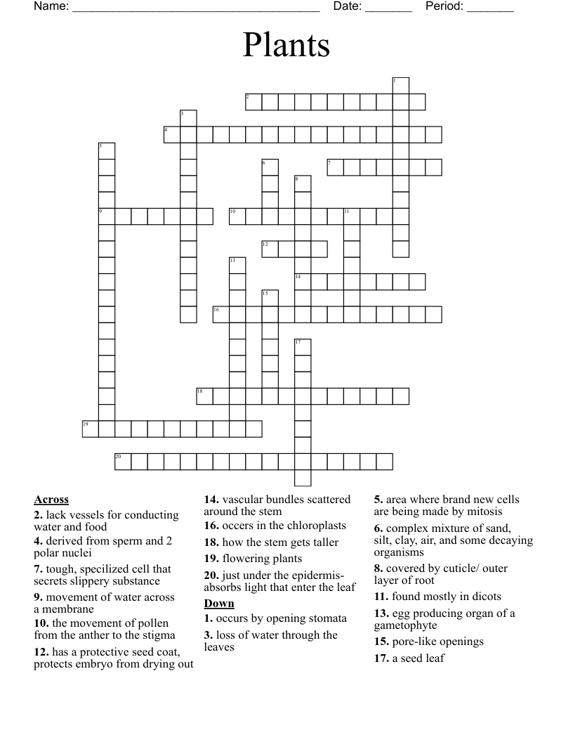 Botany: roots, stems, leaves, flowers, seeds & fruits crossword