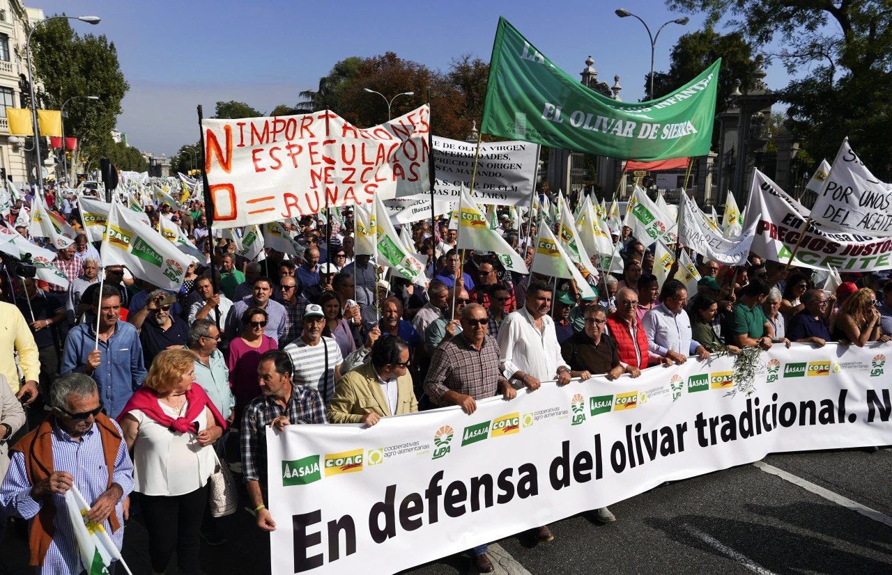 The Olive Tree Market City Of Newcastle
