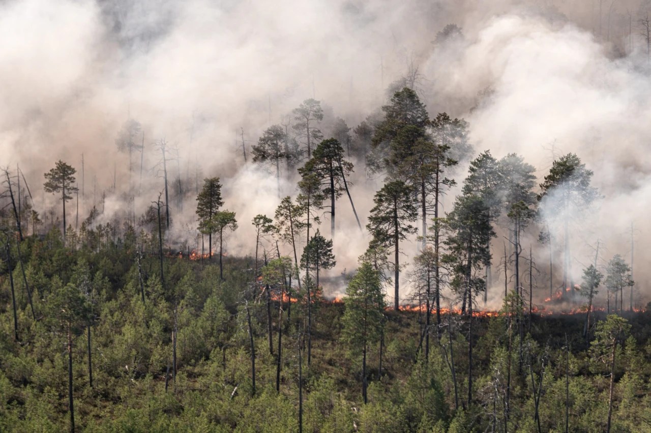 The fate of home exercise equipment when covid-19 ends