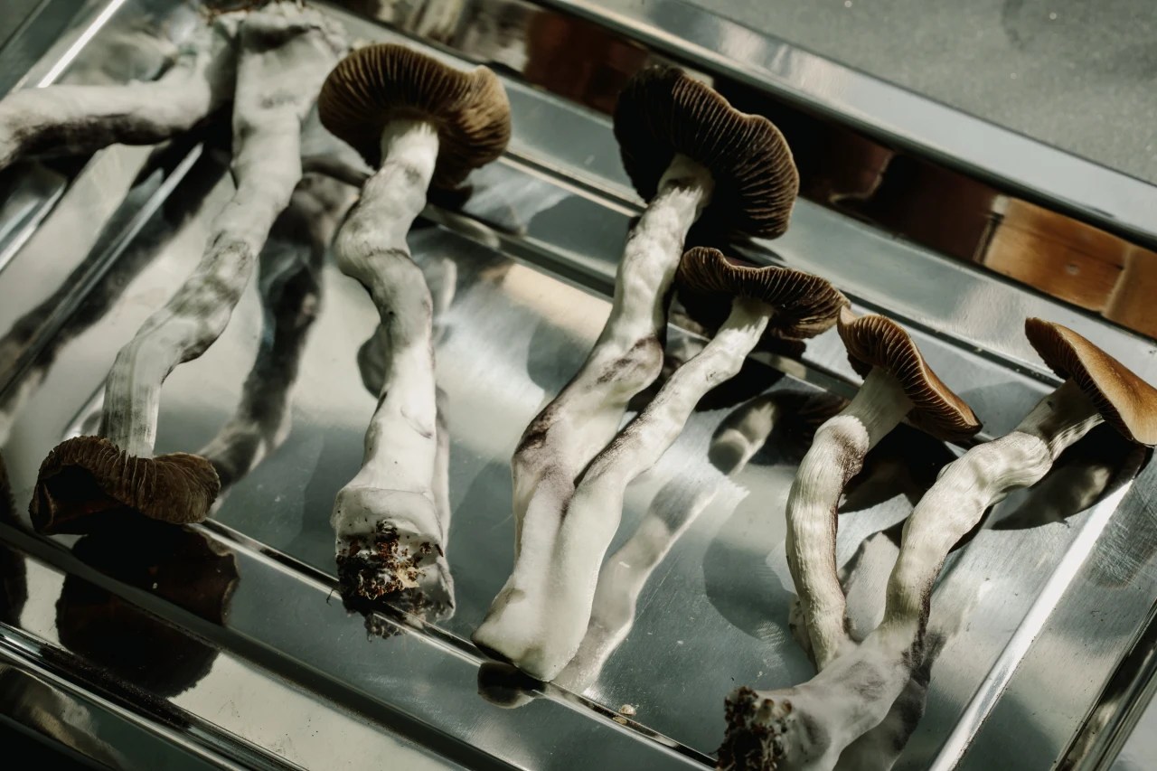 Technology Behind Magic Mushrooms Understanding Psilocybin And Its