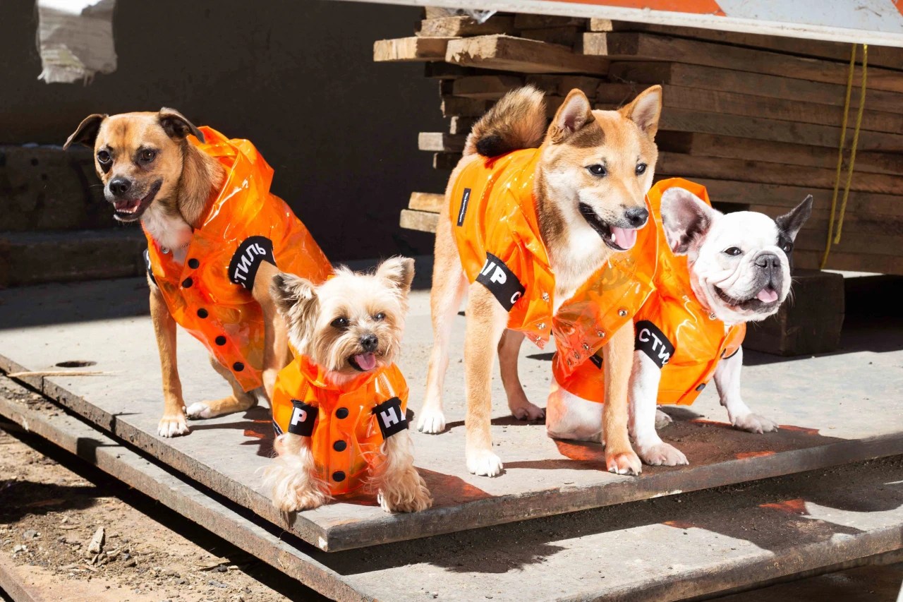 Men Who Love Streetwear And Dress Their Dogs To Match Wsj