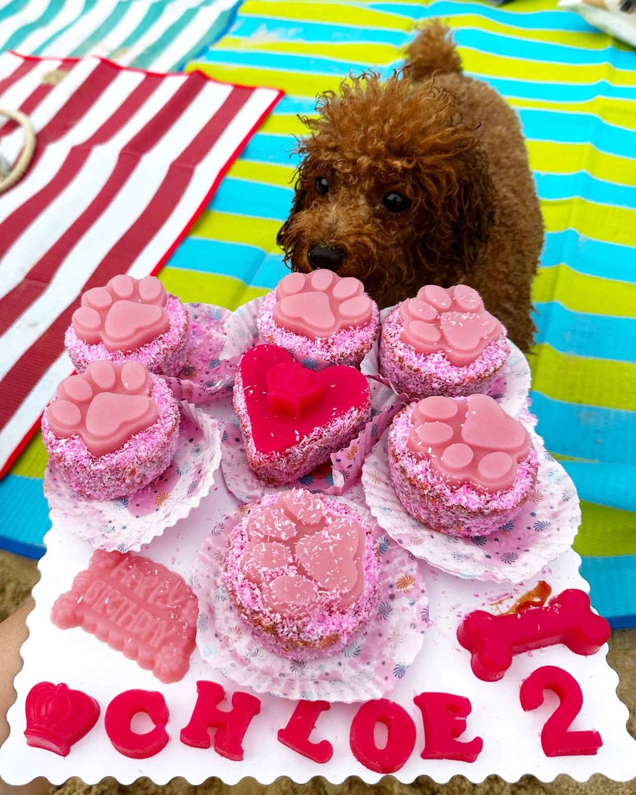 Dramatic Cupcake Dog