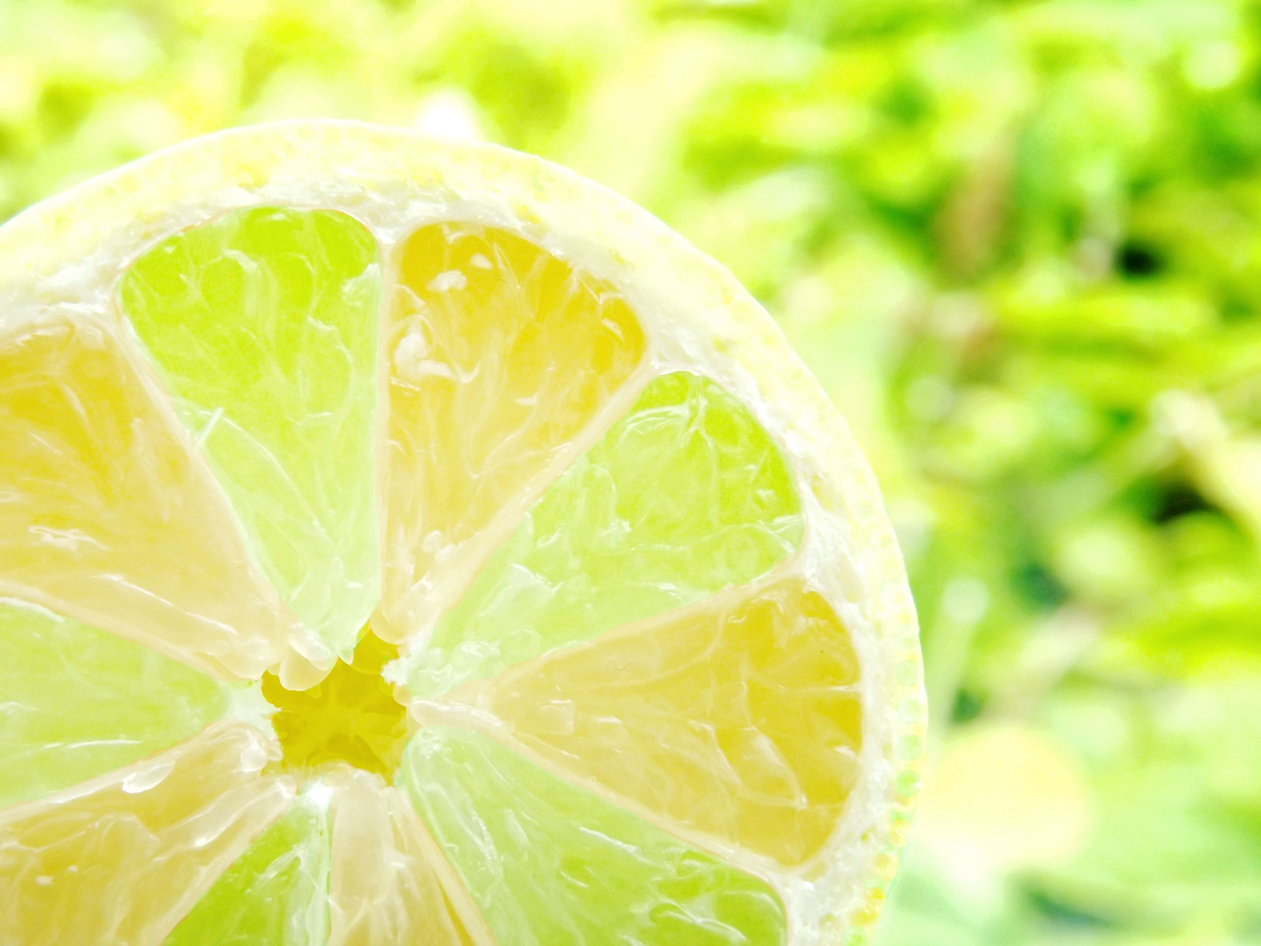 lemon 4k ultra hd wallpaper background image 4288x3216 on lemon wallpaper