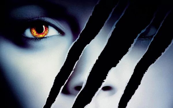 Cursedwallpapers - Landscape Texture Collection - Full HD Quality