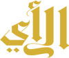 الرئيس التنفيذي لشركة المياه الوطنية يتفقد عددا من المشروعات بالمنطقة