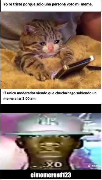 photo Gatito Triste Meme top memes de gato triste en espanol