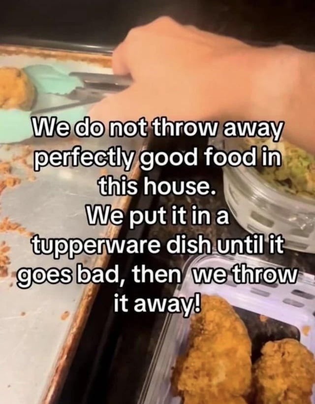 ﻿Wedonot throw away perfectlygood food in this house. We itina tupperware dish until it goesbad, then we throw it awavl put