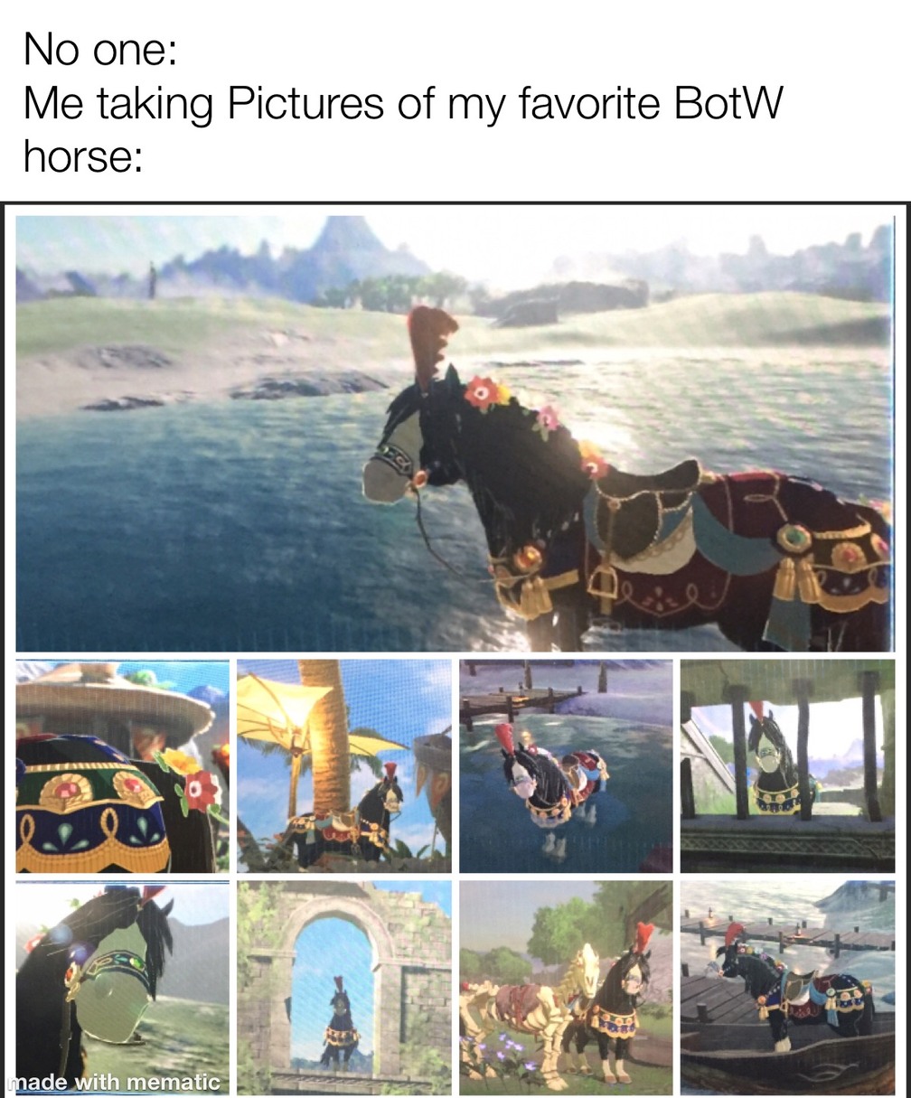 pics Botw Memes 2020 the best botw memes memedroid