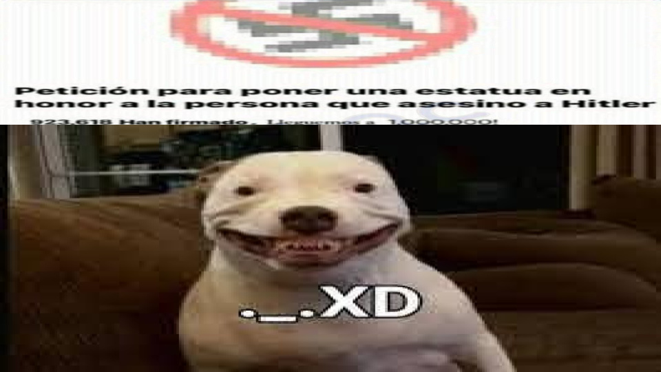 Top Memes De Perro En Espanol Memedroid