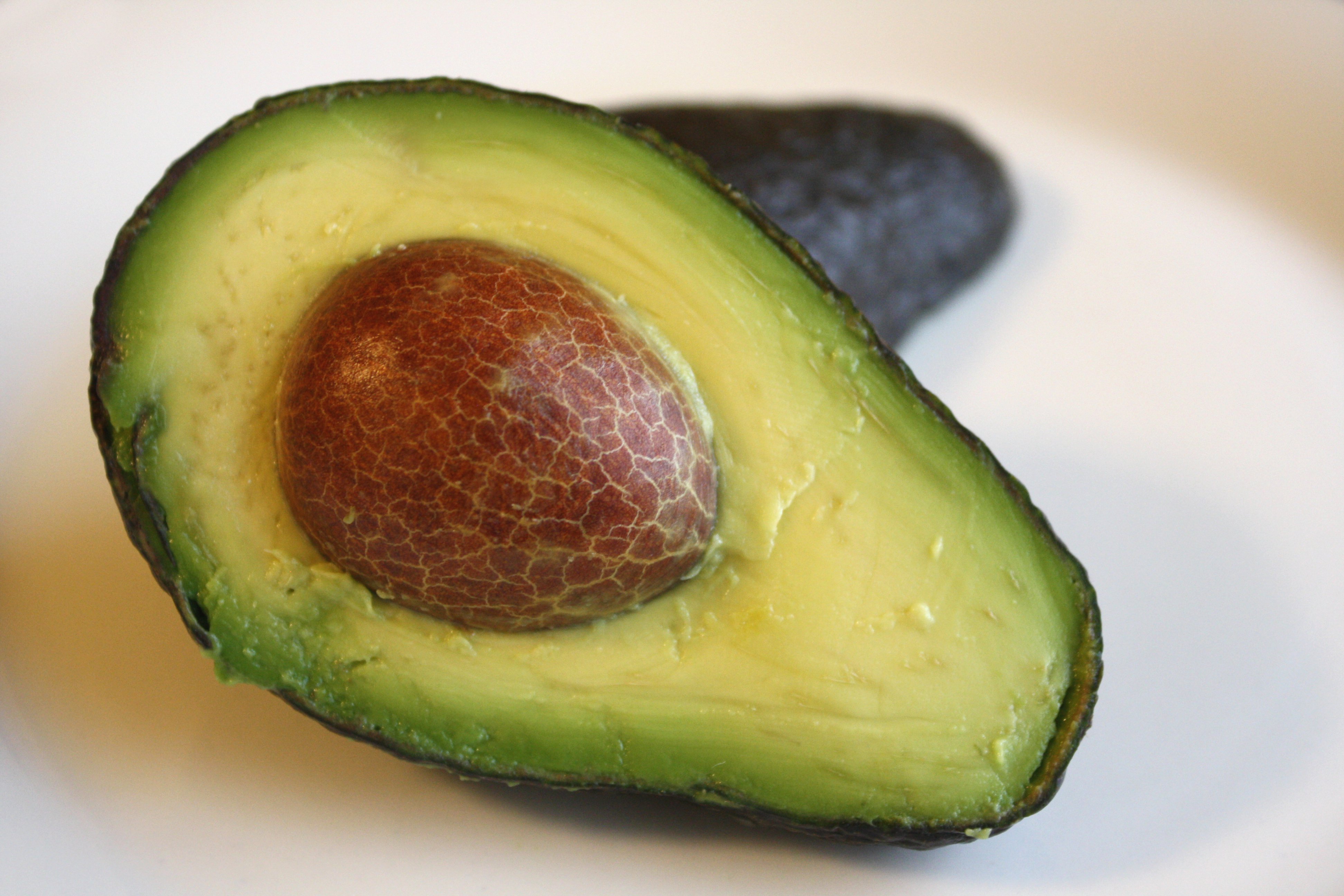 avocado 4k ultra hd wallpaper background image on avocado wallpapers