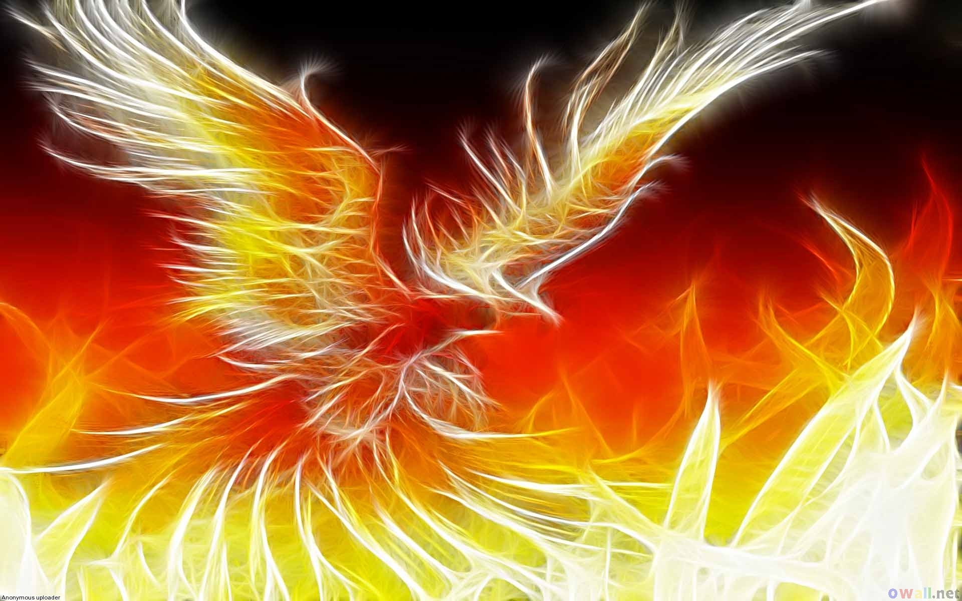 phoenix hd wallpaper background image 1920x1200 id on ave fenix wallpapers