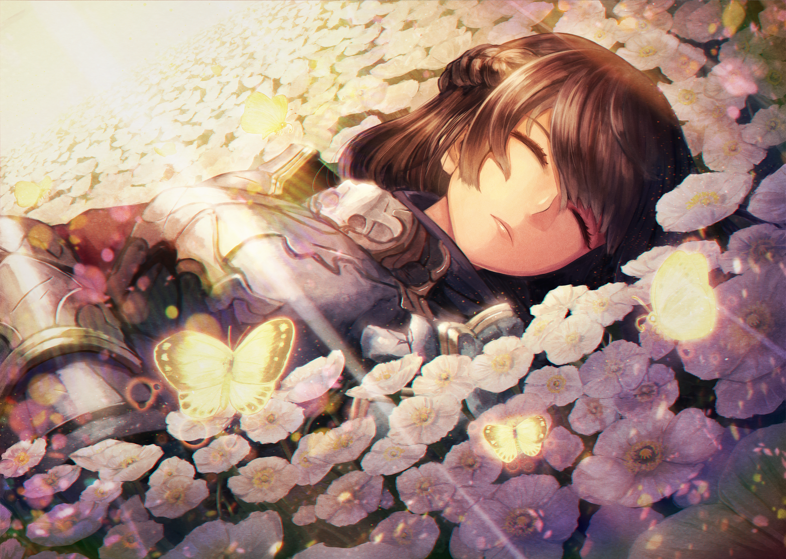 This song was also used as the ending song for episode 1, though it used the same animation as the opening version, but with ending credits. In The Flowers Field Hd Wallpaper Background Image 2500x1778