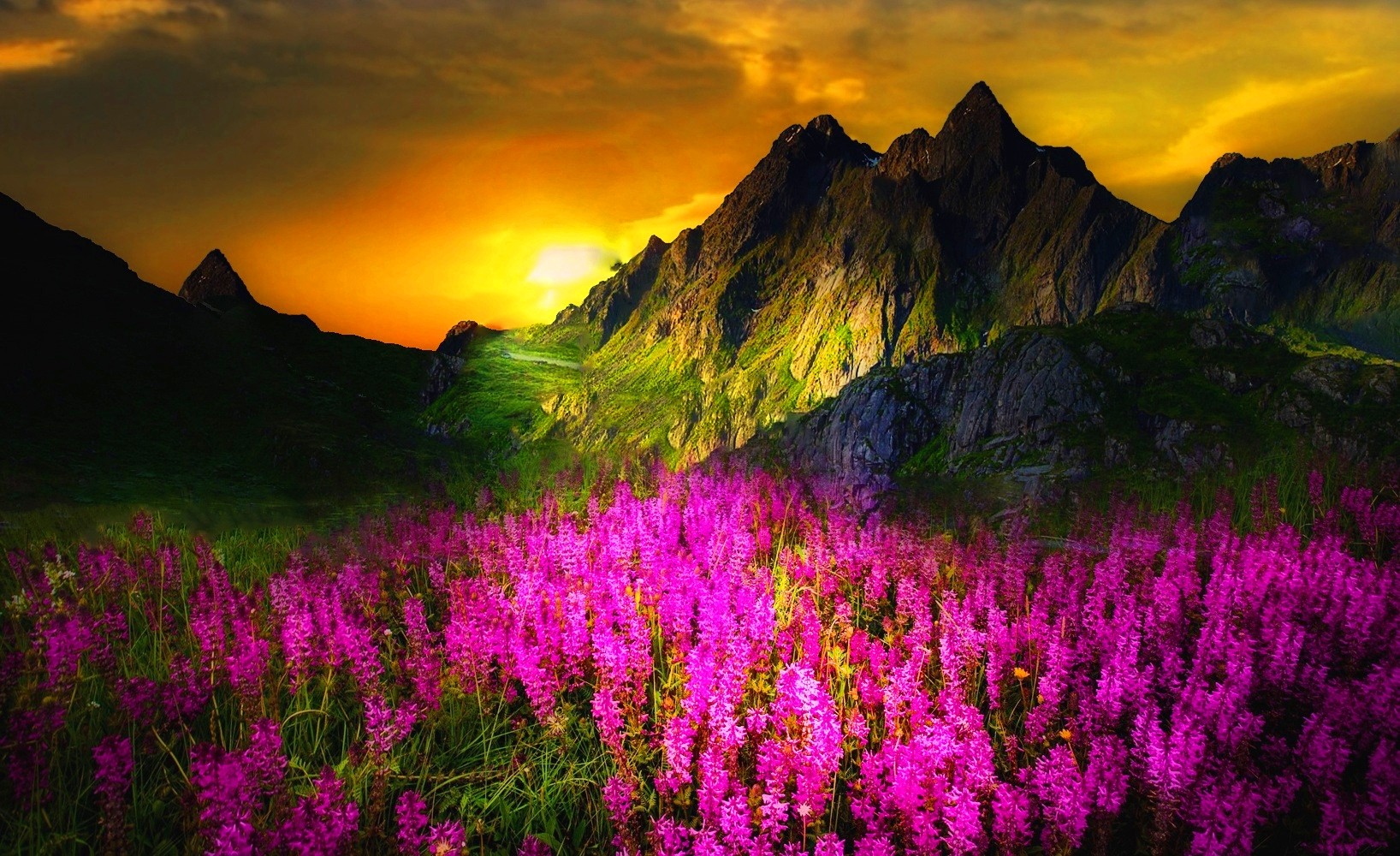 Pink mountain flowers wallpaper