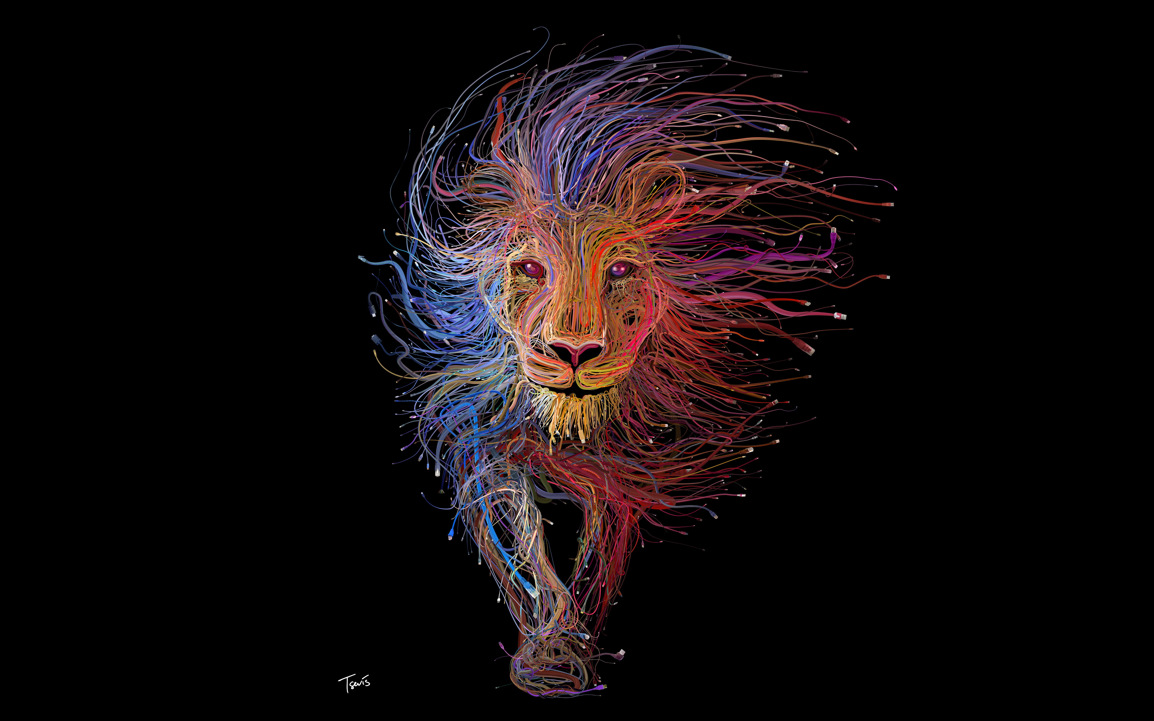 Colorful Lion 4k Ultra Fond D Ecran Hd Arriere Plan 4800x3000 Id 702757 Wallpaper Abyss