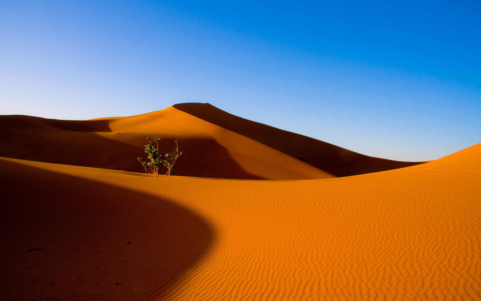 Vibrant desert dunes hd: a stunning nature escape