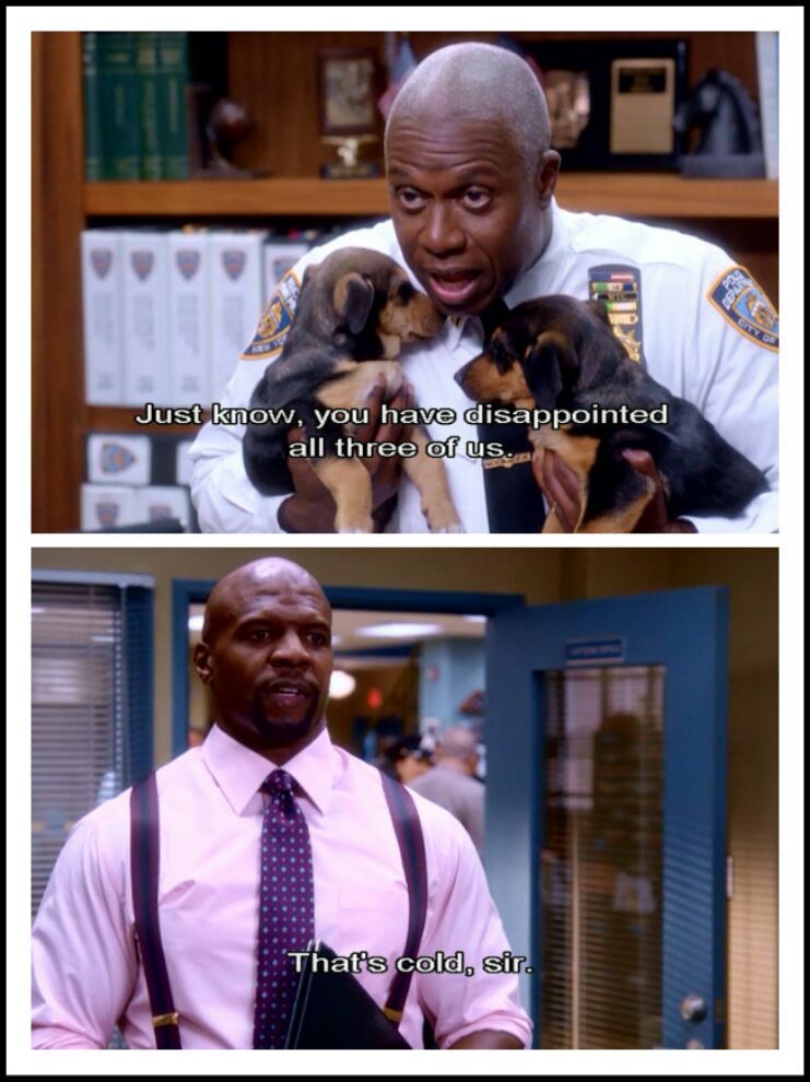 Get ready to say “noice, noice, toit, toit,” as you scroll through these brilliant memes we grabbed online. The best brooklyn 99 memes :) Memedroid