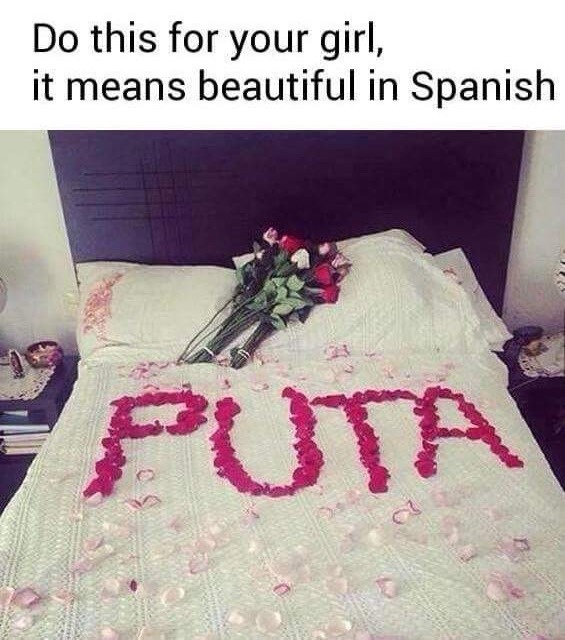 View 9 Decoration Rose Petals On Bed Meme