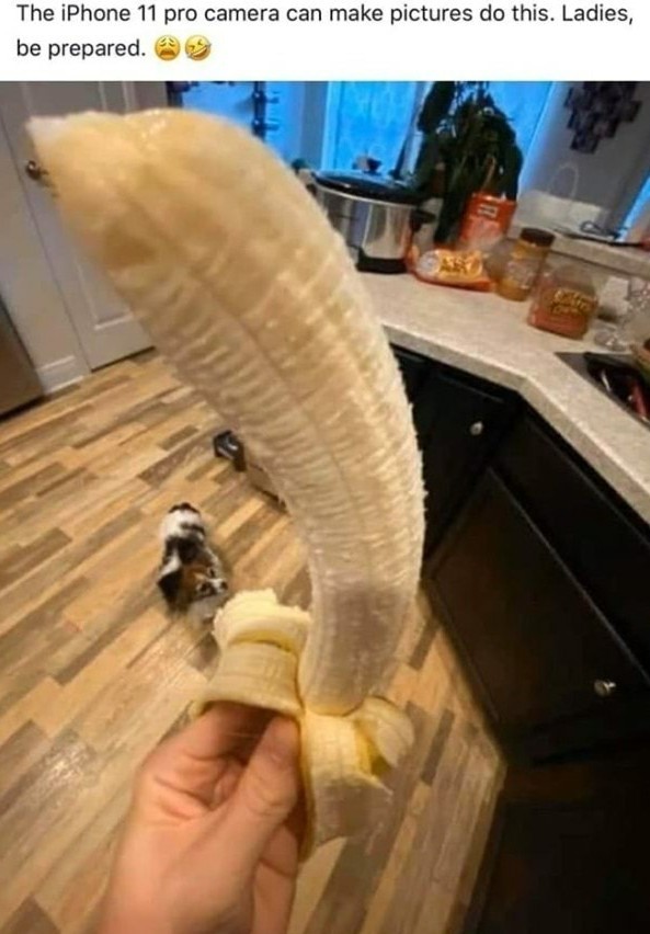 U wanna hear sum dark humor? Banananananananananananananananana - Meme by davidsealover :) Memedroid