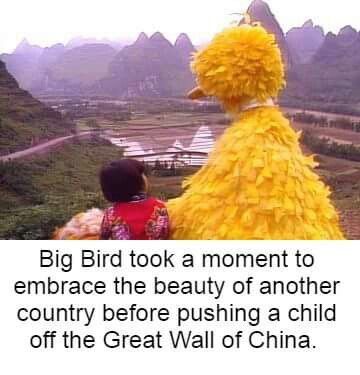 Minecraft memes compilation (funny!) astronomia coffin dance, to be continued, we'll be right back.#minecraft #memes #coffindance . The best big bird memes :) Memedroid