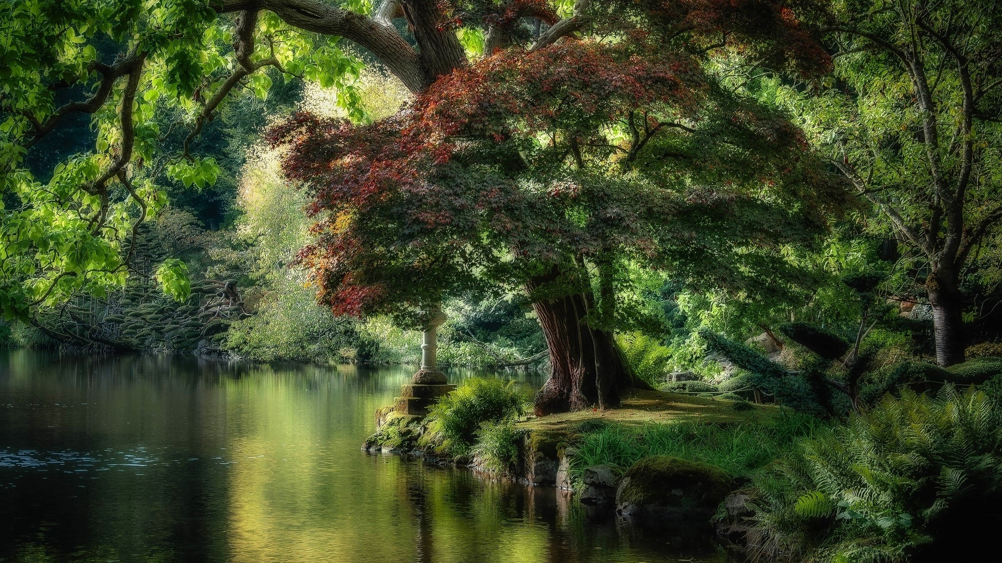 River Trees HD Wallpaper | Background Image | 2048x1152  