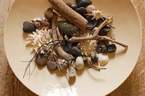 Mali Azima Photography Mali Azima Photography