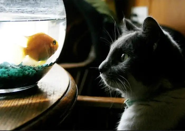 Image Hosted by ImageShack.us