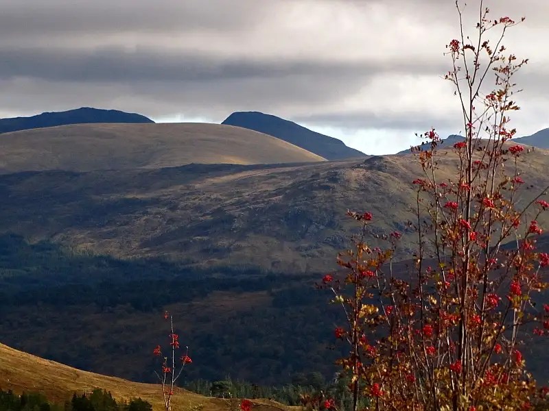 Image Hosted by ImageShack.us