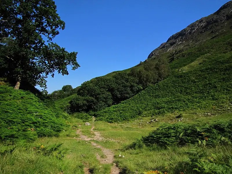 Image Hosted by ImageShack.us