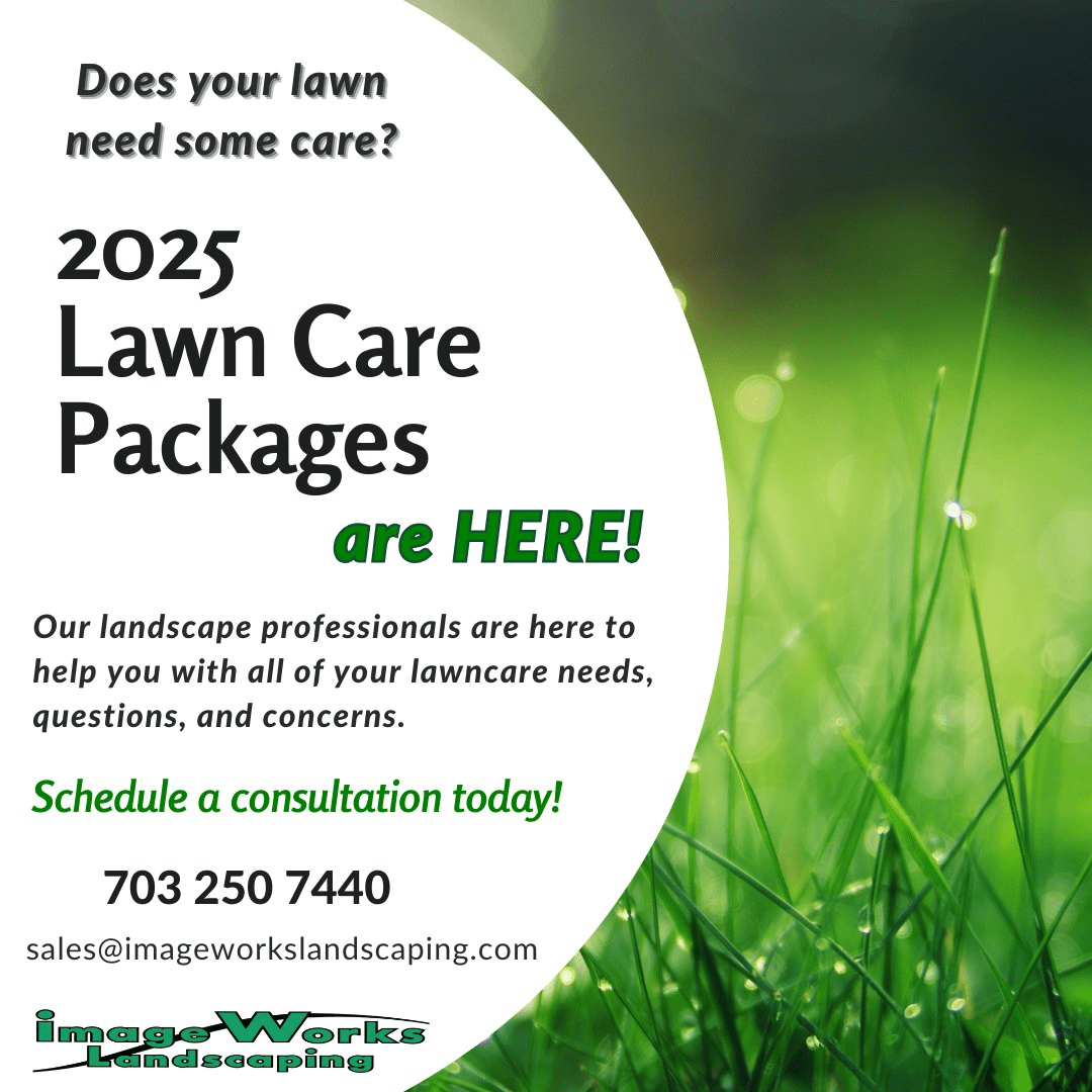 Lawn Care Packages