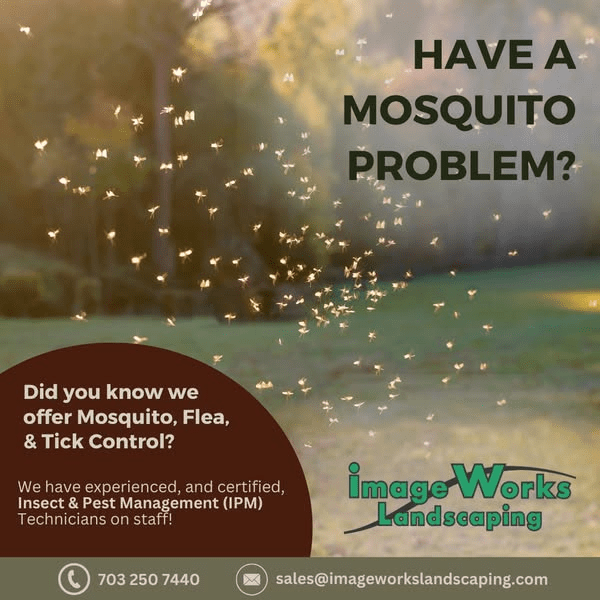 Mosquito Control