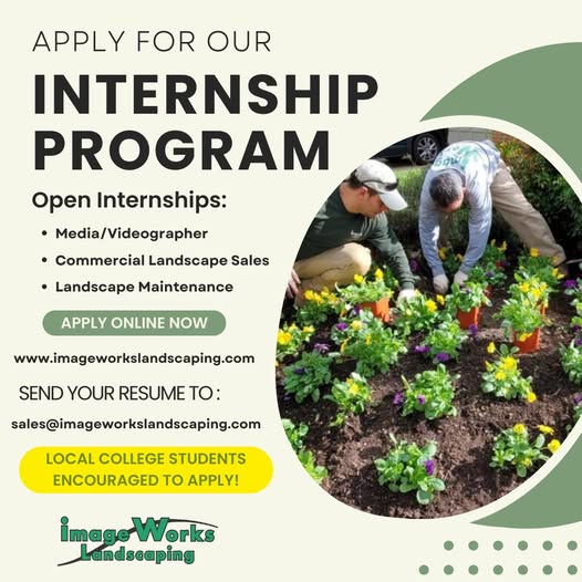 Internship Graphic Design