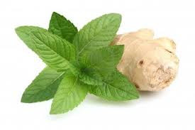 ginger-peppermint