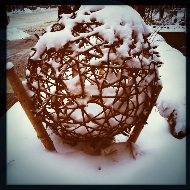 Winterstorm