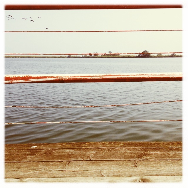 Die BrÃ¼cke
