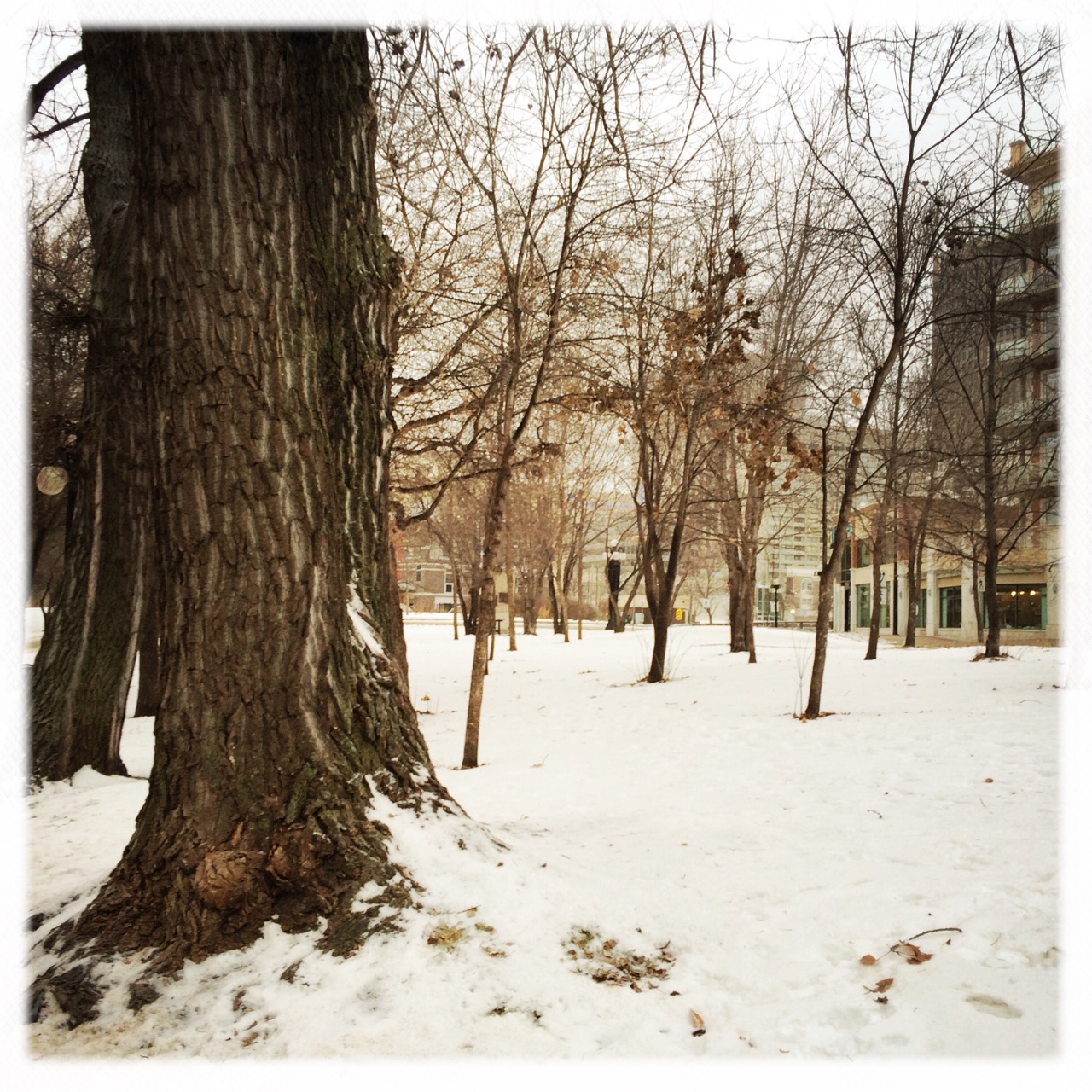 Winnipeg - Impressionen