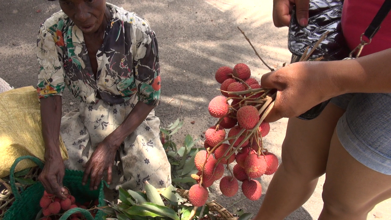 Litchis 4