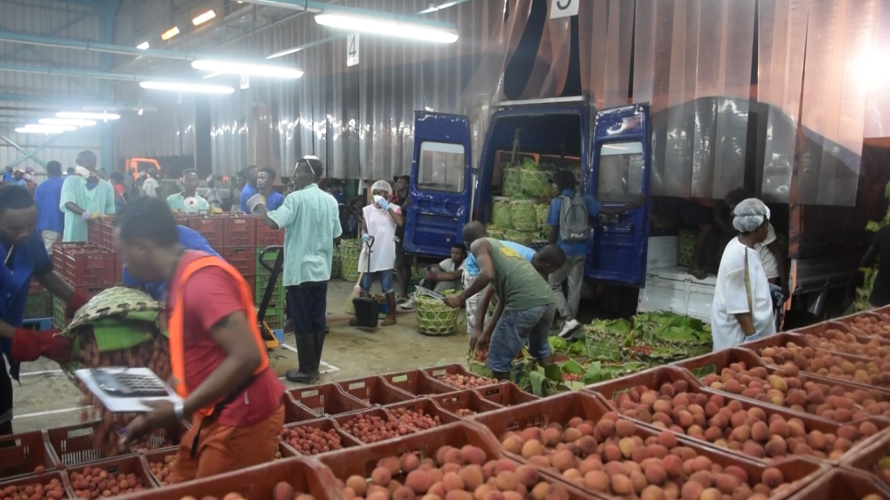 Litchis 5